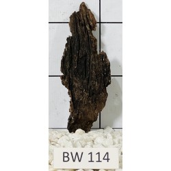 Bogwood 114
