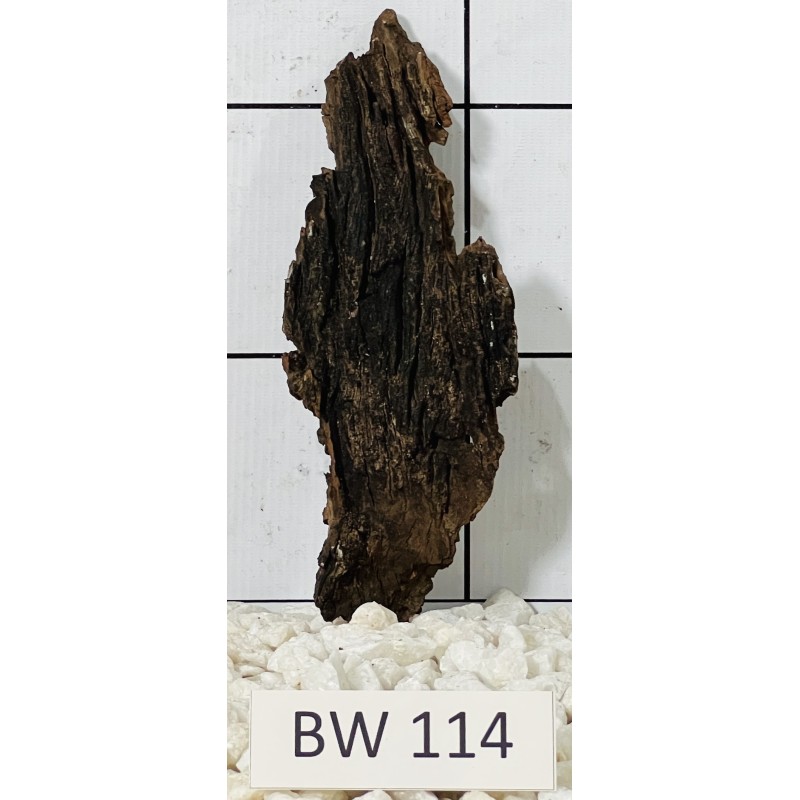 Bogwood 114