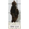 Bogwood 114