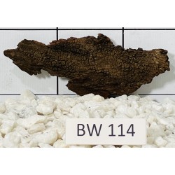 Bogwood 114