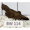 Bogwood 114
