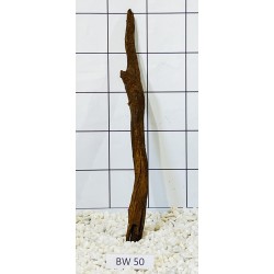 Bogwood 50