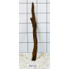 Bogwood 50