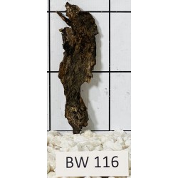 Bogwood 116