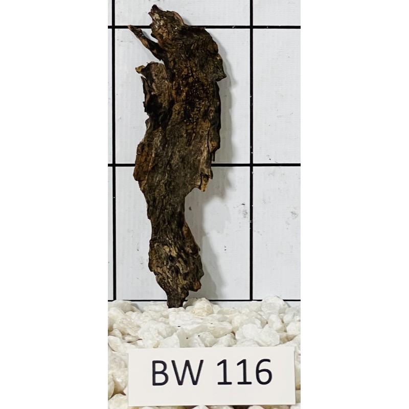 Bogwood 116