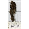 Bogwood 116
