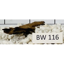 Bogwood 116