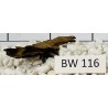 Bogwood 116