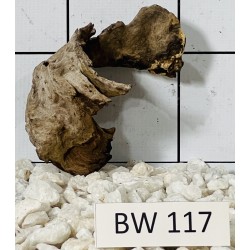 Bogwood 117