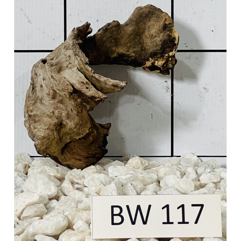 Bogwood 117