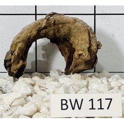 Bogwood 117