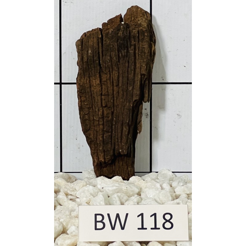 Bogwood 118