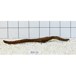Bogwood 50