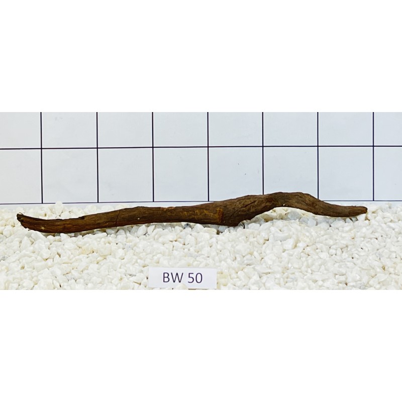 Bogwood 50