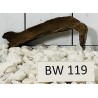Bogwood 119