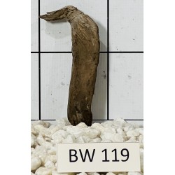 Bogwood 119