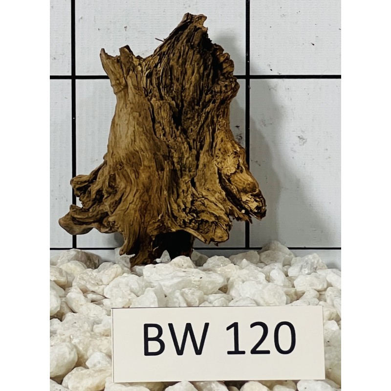 Bogwood 120