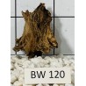 Bogwood 120