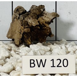 Bogwood 120
