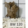 Bogwood 120