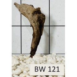Bogwood 121