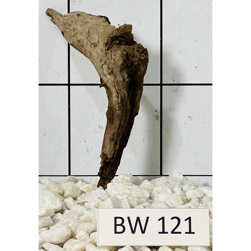 Bogwood 121