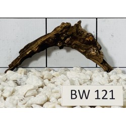 Bogwood 121