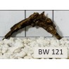Bogwood 121