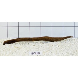 Bogwood 50