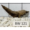 Bogwood 121