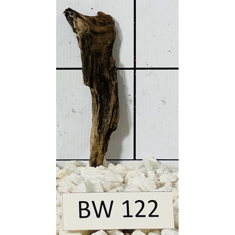 Bogwood 122