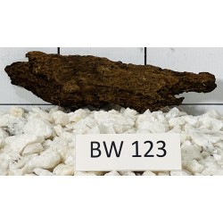 Bogwood 123