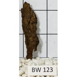 Bogwood 123