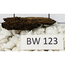 Bogwood 123