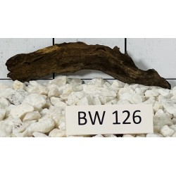 Bogwood 126