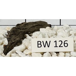 Bogwood 126