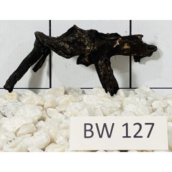 Bogwood 127