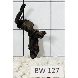 Bogwood 127