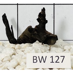 Bogwood 127