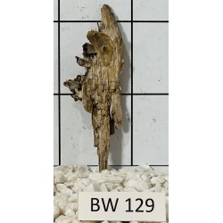 Bogwood 129