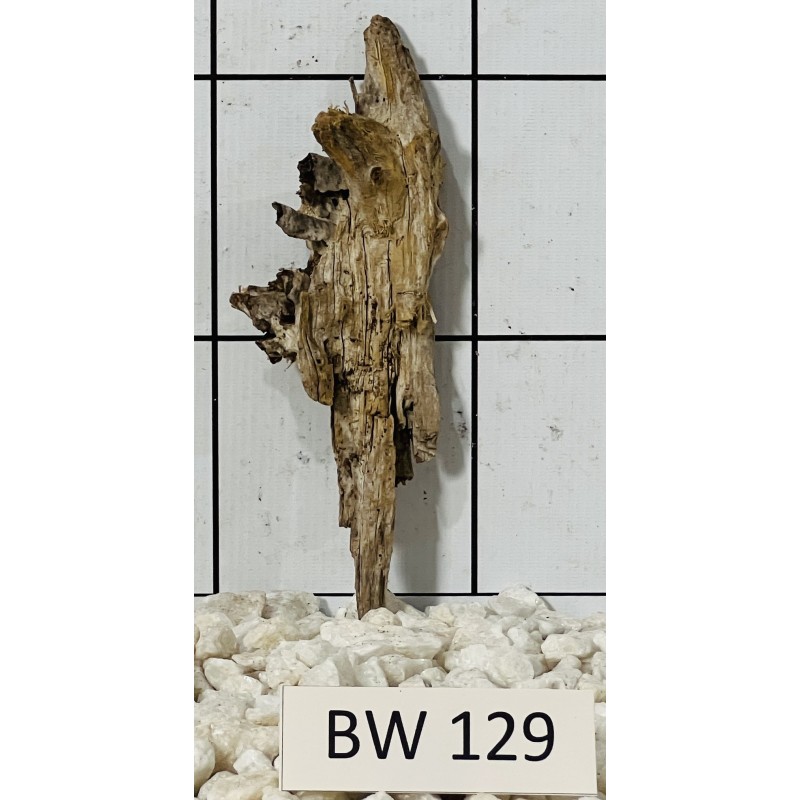 Bogwood 129