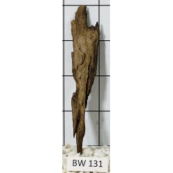 Bogwood 131