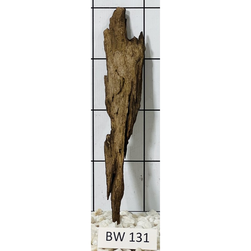 Bogwood 131