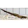 Bogwood 131