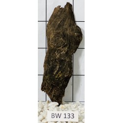 Bogwood 133