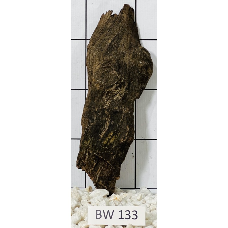 Bogwood 133