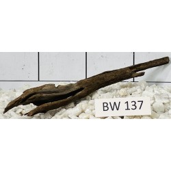 Bogwood 137