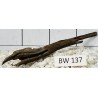 Bogwood 137