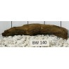 Bogwood 140