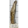 Bogwood 140
